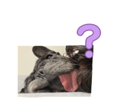 844673776