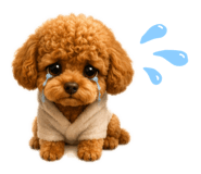 844674262
