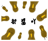 844675161