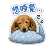 844675224