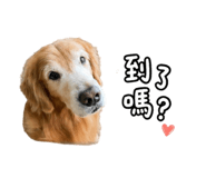 844675468