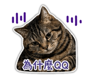 844675592