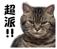 844675595