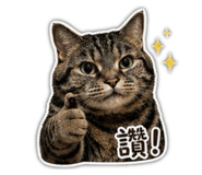 844675596