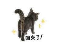 844676058