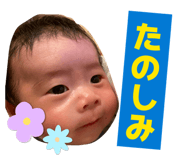 844677456