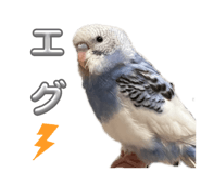 844677507