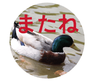 844677515