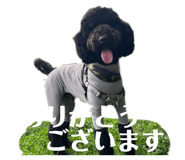 844677736