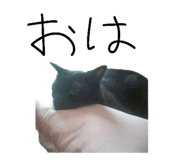 844677898