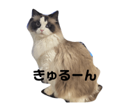 844678353
