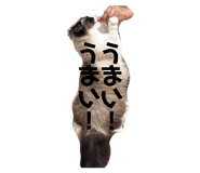 844678354