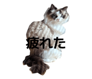844678365