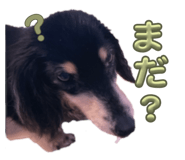 844678770