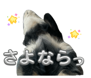 844678782