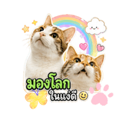 844679425