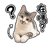844680239