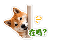 844680698