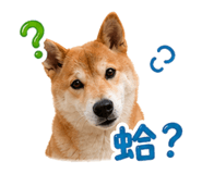 844680702