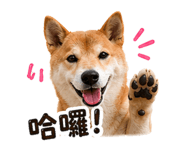 844680708