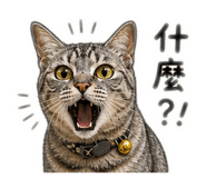 844681060