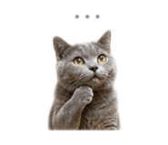 844681323