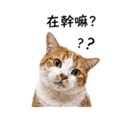 844682026