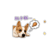 844682301
