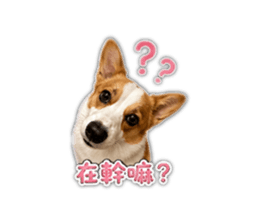 844682305