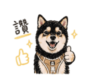 844682361