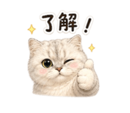 844682548