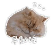 844683075