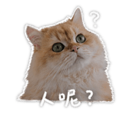 844683076