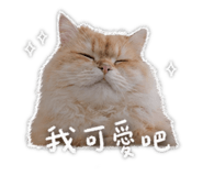 844683078