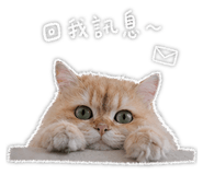 844683083