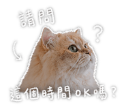 844683101