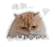 844683107