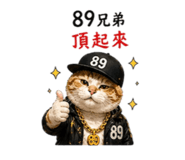 844683593