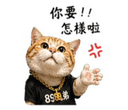 844683605