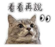 844683986