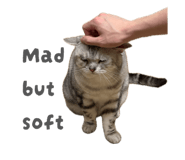 844684508