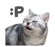 844684510
