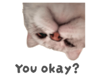 844684512