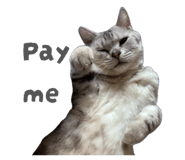 844684522