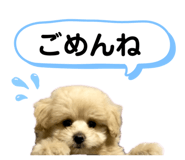 844684686