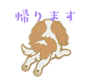 844685358