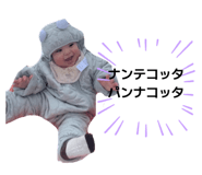 844685550