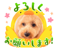 844685634