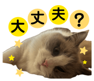 844685779