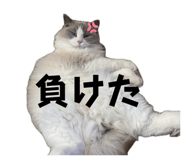 844685787